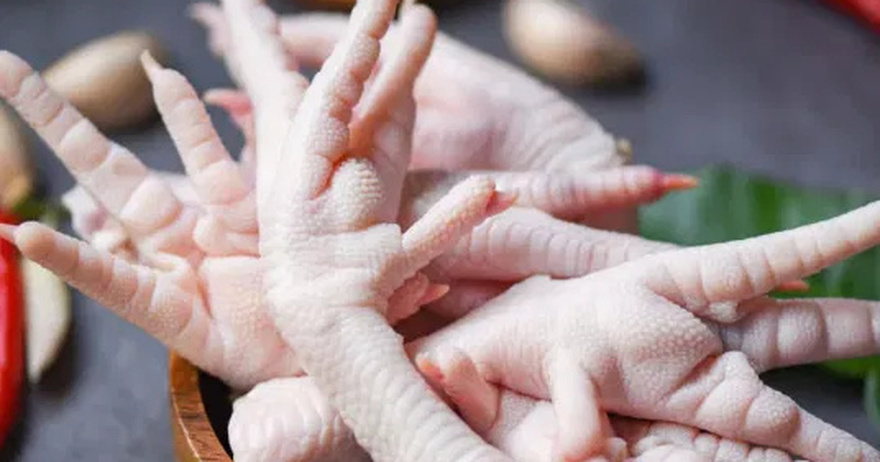 Great benefits of chicken feet