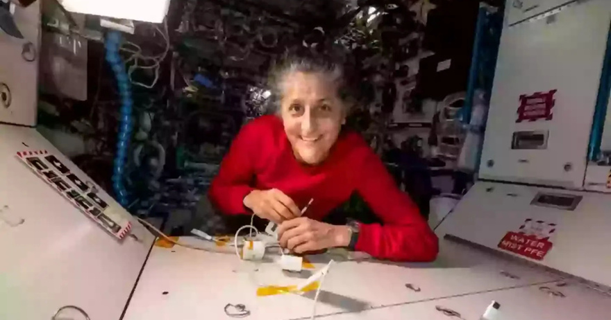 After being in space for so long, stranded NASA astronaut makes concerning admission about one thing she can no longer do