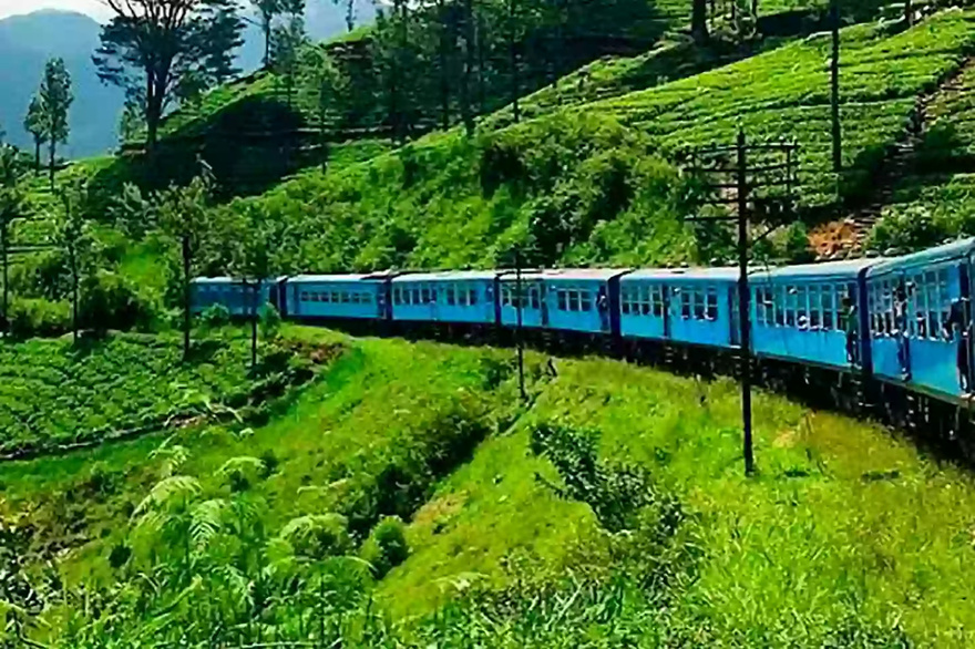 Tourist tragically dies while leaning head out of train for selfie in gruesome incident