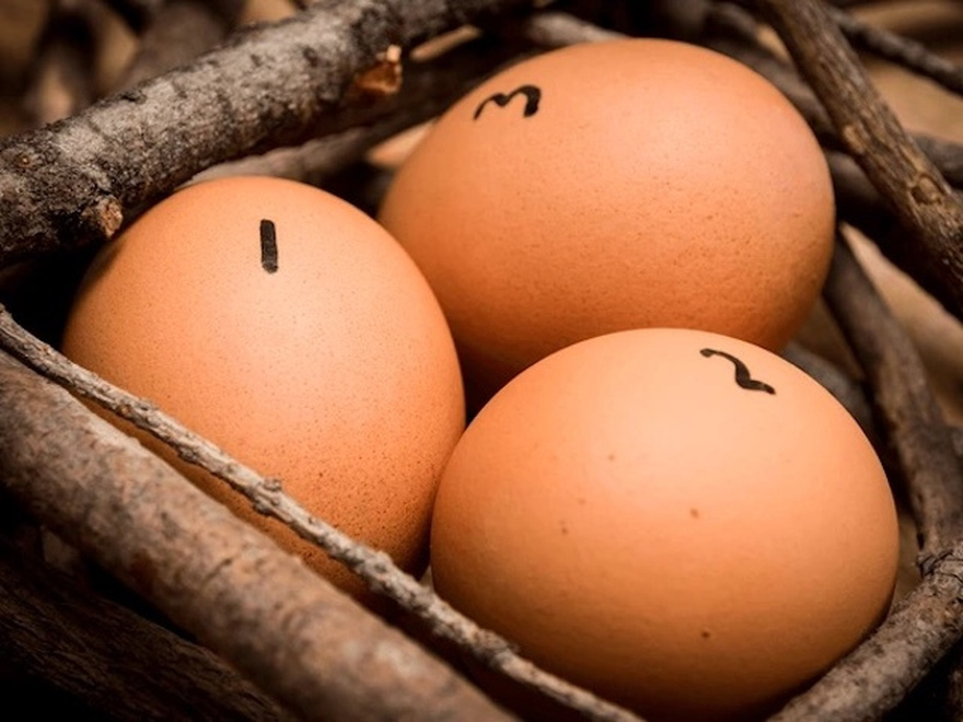 How Many Eggs Are There? Most People Miss This Key Detail—Can You Explain It?