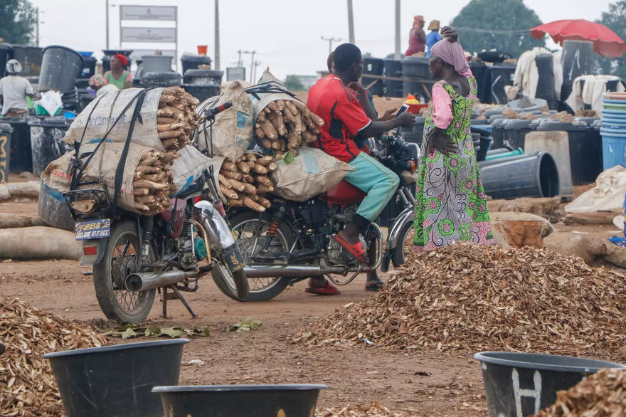 ‘World’s deadliest food’ kills more than 200 people per year and is still eaten by 500 million