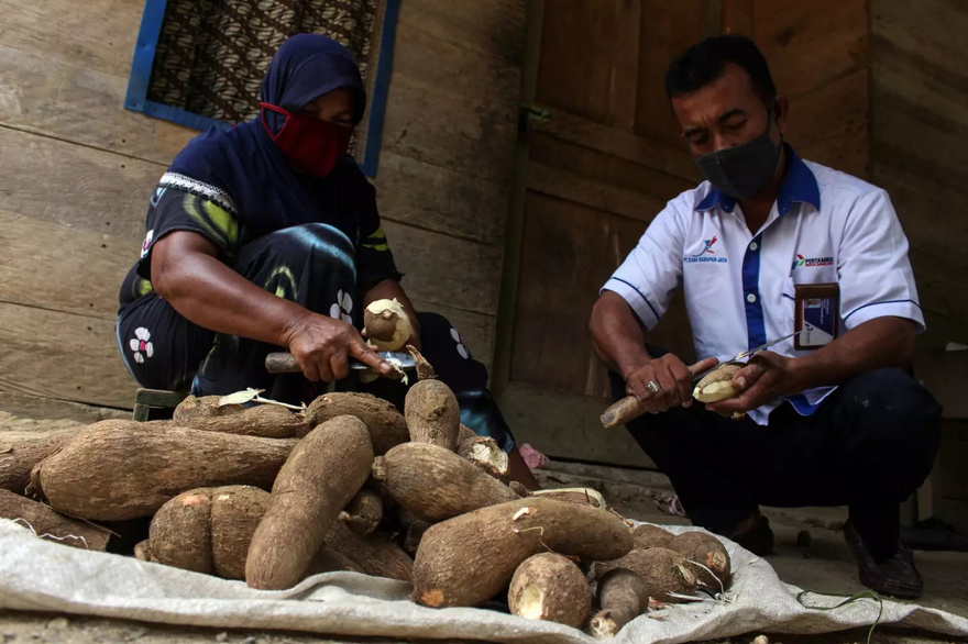 ‘World’s deadliest food’ kills more than 200 people per year and is still eaten by 500 million