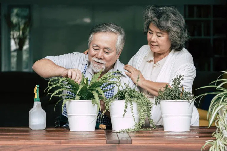 At 78, I Sold Everything and Bought a One Way Ticket to Reunite with the Love of My Life, but Fate Had Other Plans