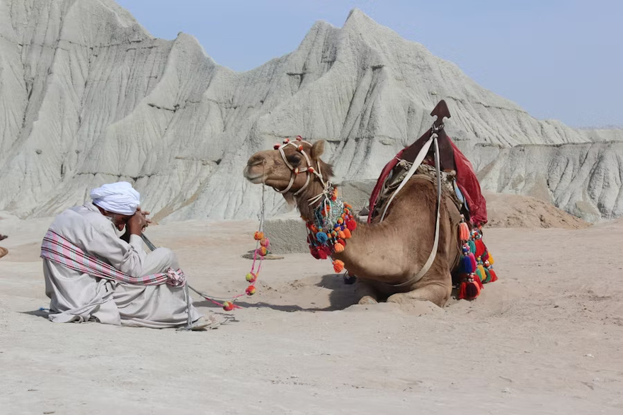 Furious Camel Takes Deadly Revenge After Being Left Tied Up in Scorching Heat All Day