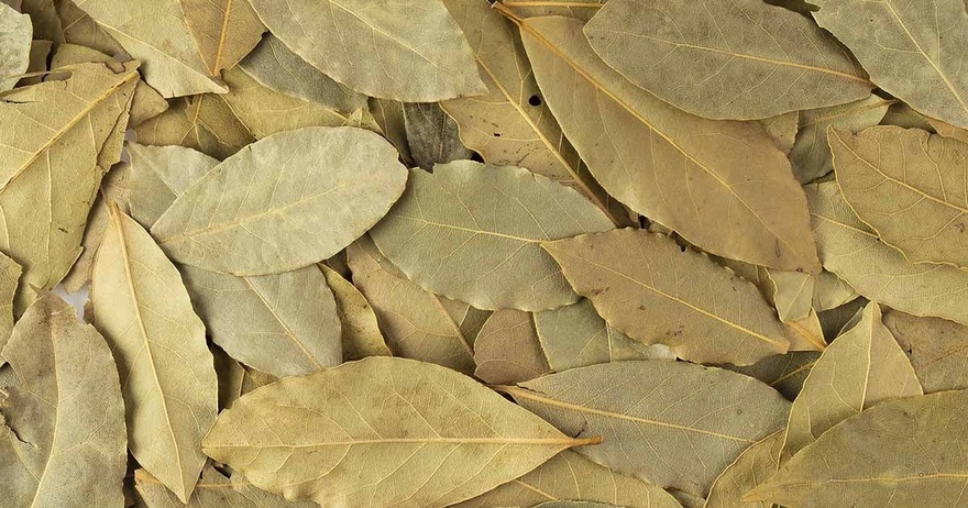 The Significance of Burning Bay Leaves in Your Home