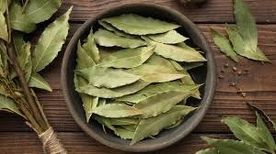 The Significance of Burning Bay Leaves in Your Home