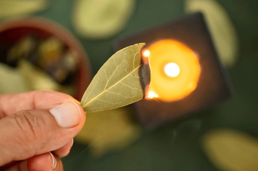 The Significance of Burning Bay Leaves in Your Home