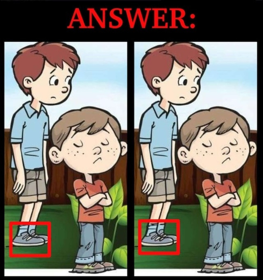 Think You Can Spot the Difference? This Puzzle Will Test Your Observation Skills!