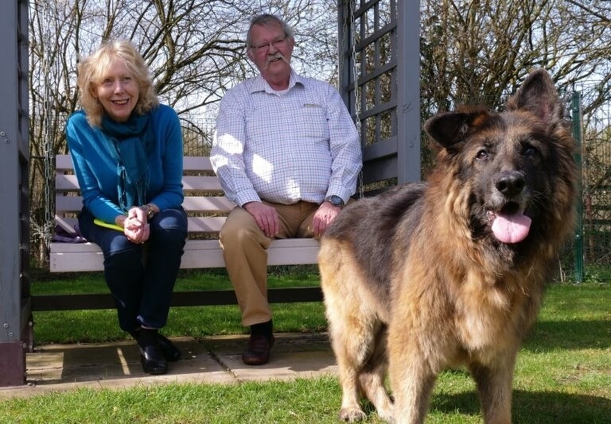 Dog was found tied to a rock and left to drown by her owner