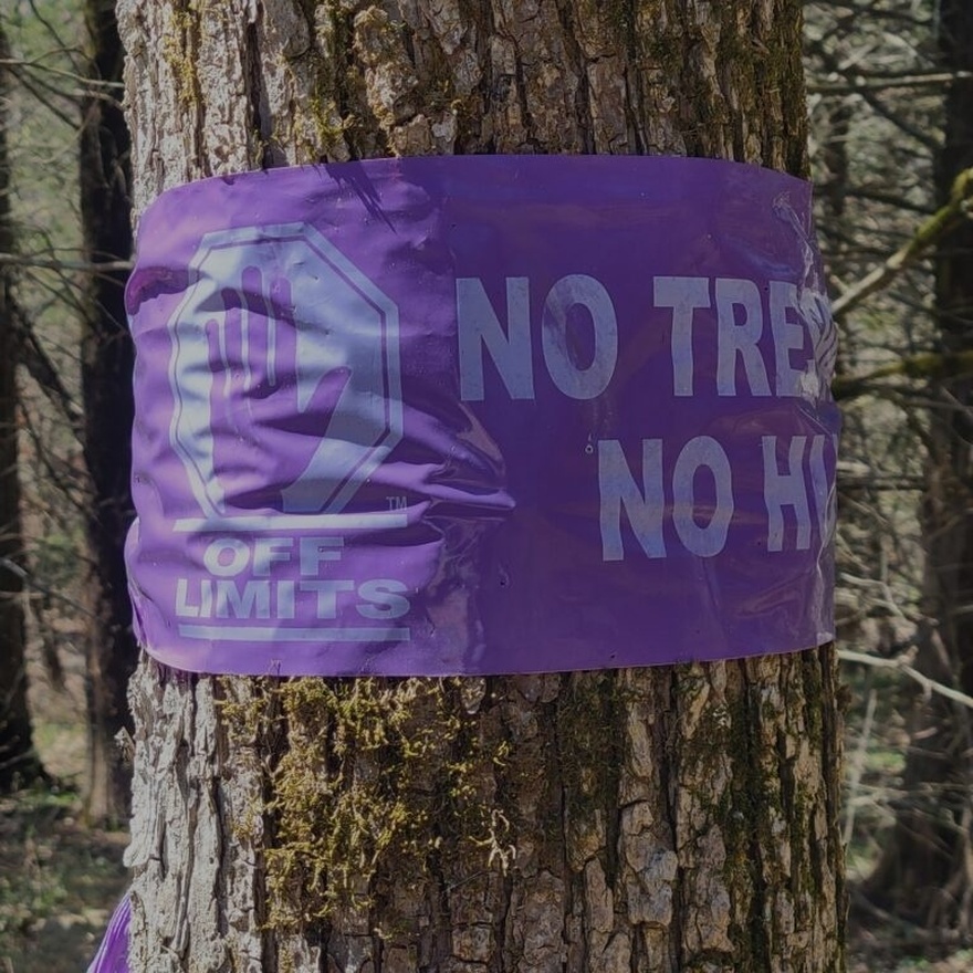 If you see a purple fence post, here’s what it could mean