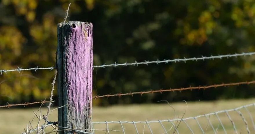 If you see a purple fence post, here’s what it could mean