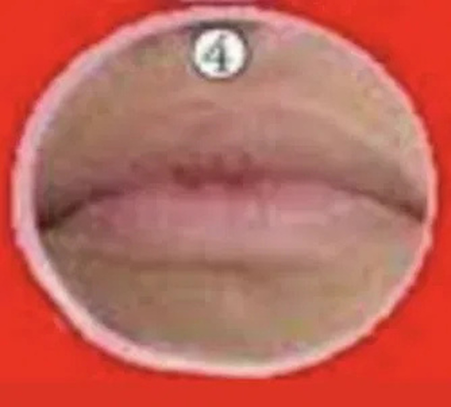 What the shape of your lips says about you, see!