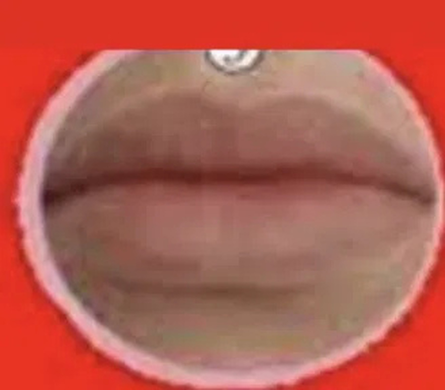 What the shape of your lips says about you, see!