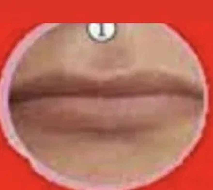 What the shape of your lips says about you, see!