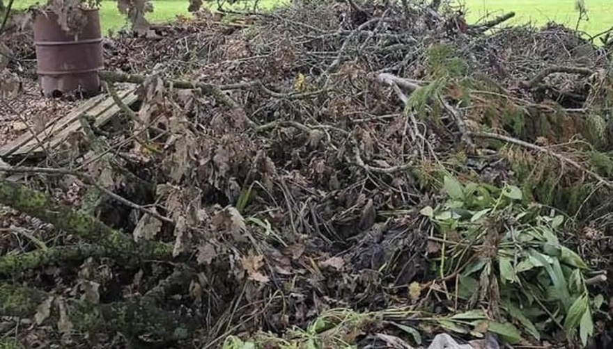 Can you spot the hidden dog? Only those with ‘sniper vision’ can find it