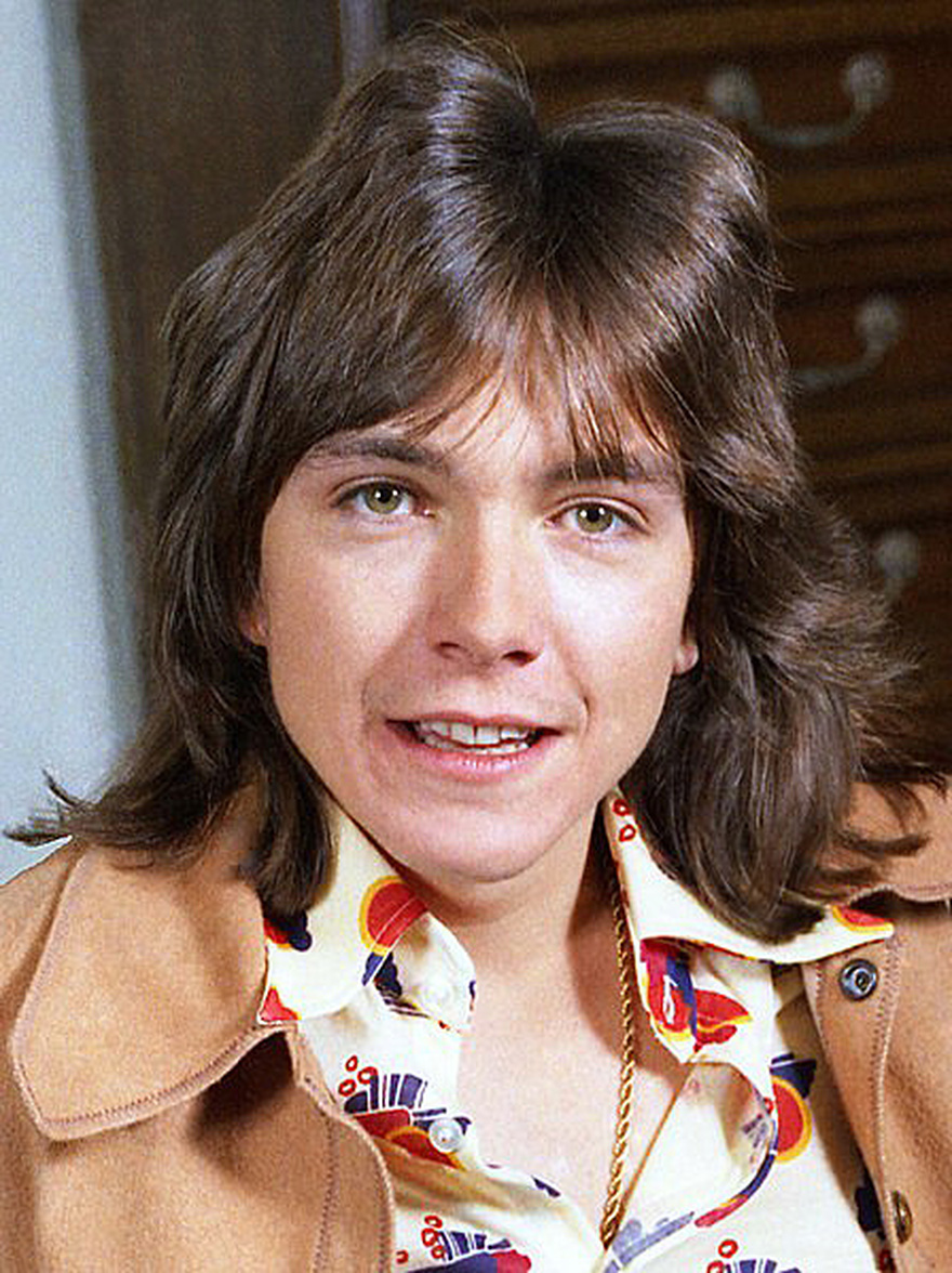 Hidden secrets of The Partridge Family you never knew