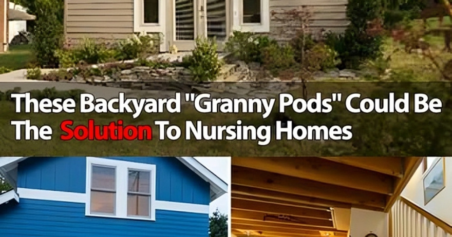 ‘Granny Pods’ let your aging parents live in your backyard