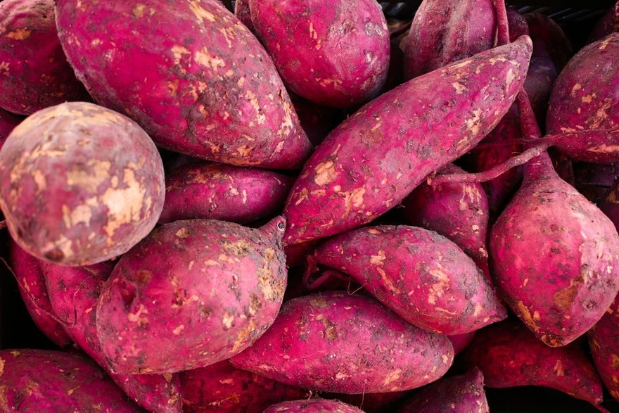 Calling all sweet potato fans!