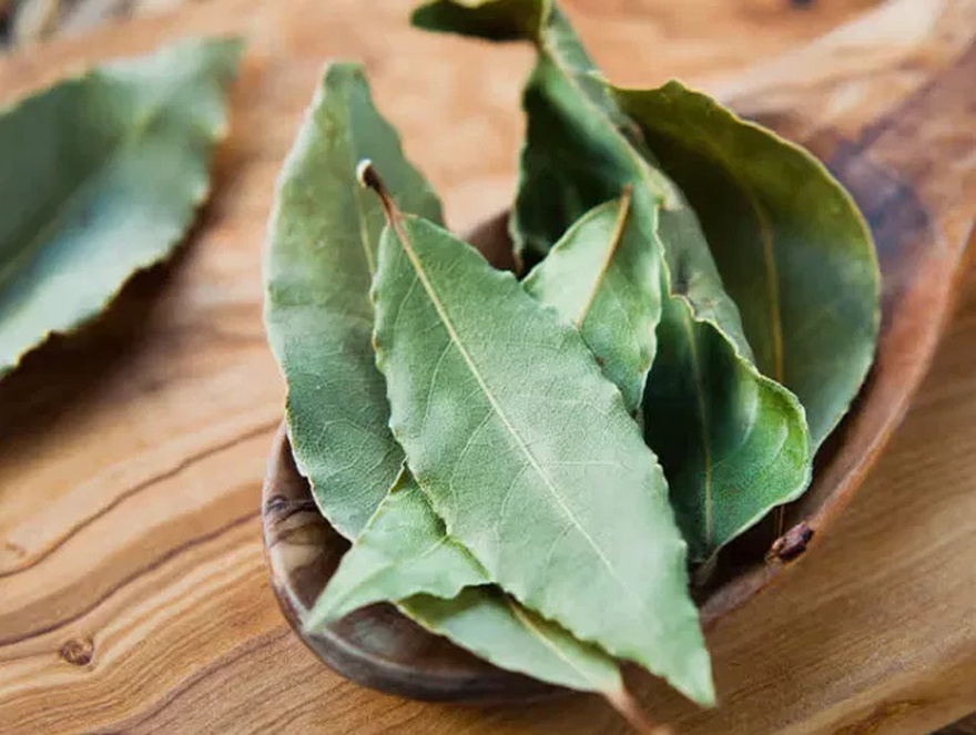 Bay Leaf: Nature’s Secret for Wrinkle-Free, Youthful Skin!