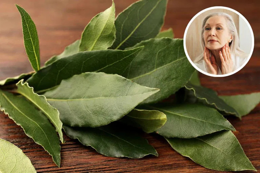 Bay Leaf: Nature’s Secret for Wrinkle-Free, Youthful Skin!