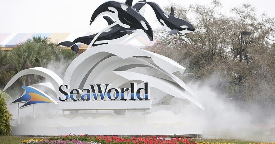 SeaWorld orca poops in tank and then splashes it all over spectators