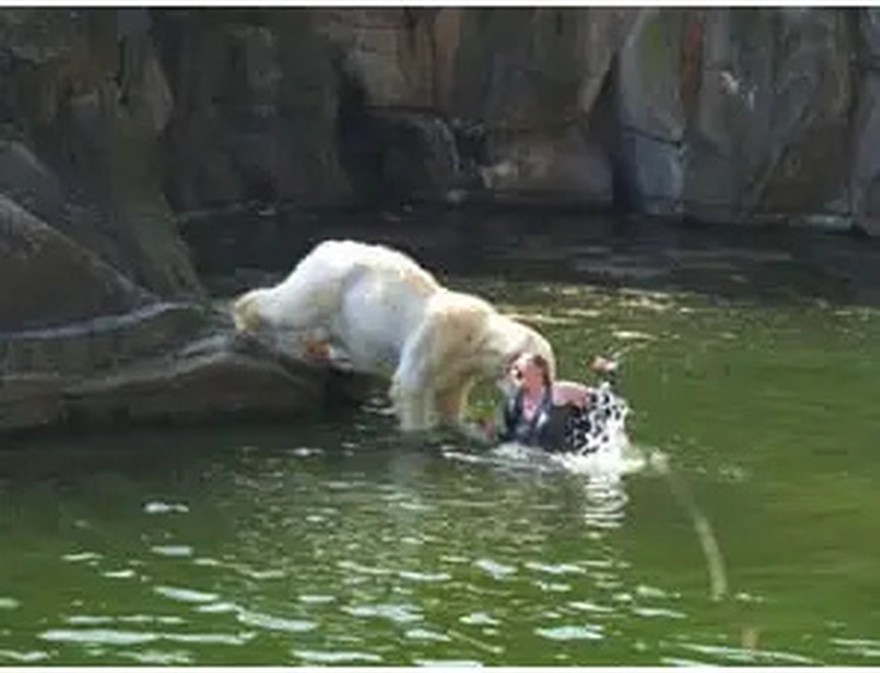 A 32-year-old woman was attacked by a polar bear after she jumped into their enclosure at the Berlin zoo