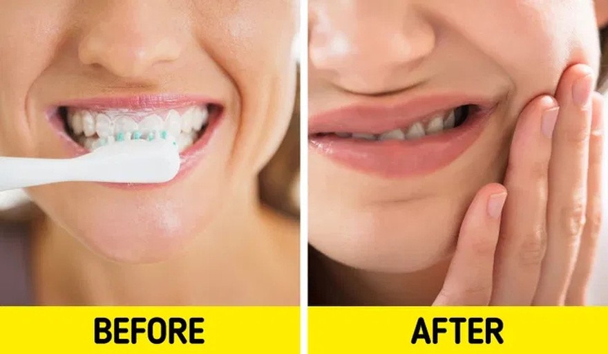 8 Tips and Facts About Teeth That Will Help You Take Better Care of Them