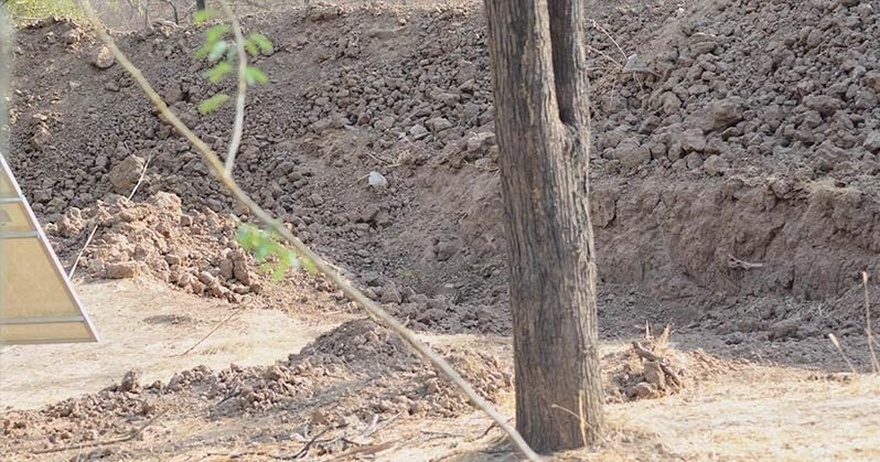 People Are Losing Their Minds Trying To Find The Leopard In This Picture