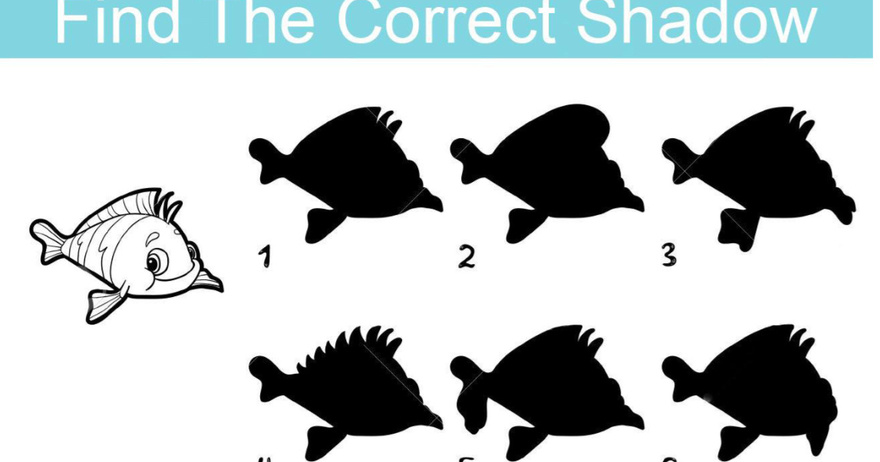 How Well Do You Observe? Find the Correct Shadow Among These Options!