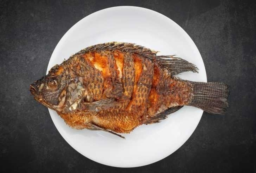 Why Nobody Should Be Eating Tilapia Anymore