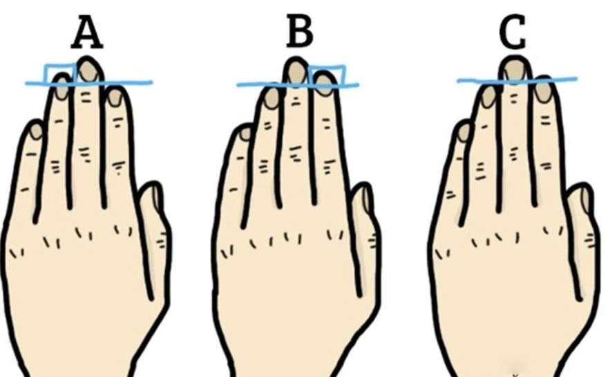 The length of your finger shows which personality you have