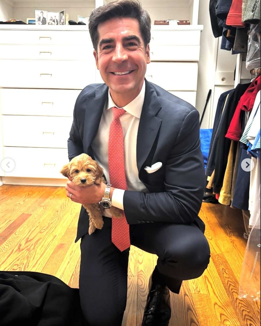 Fox News host Jesse Watters, 46, and his lovely wife, Emma, 32, welcome a new family member