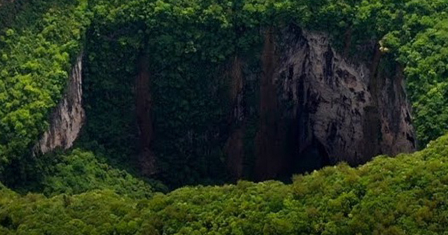 Ancient forest found at bottom of huge sinkhole