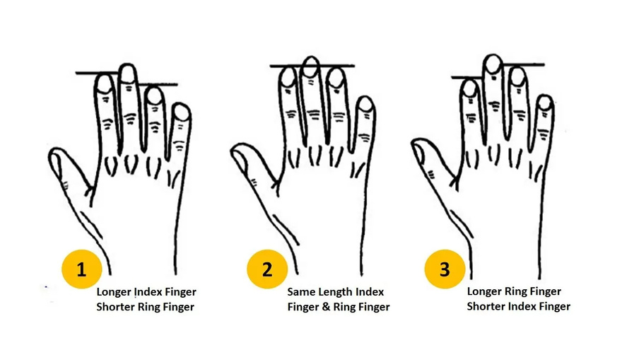 Personality Test: Your Finger length reveals these personality traits